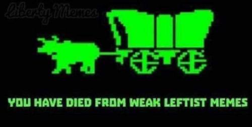 FB_IMG_1658077466452