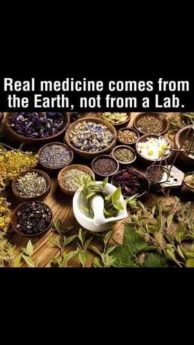 A2122FCE-F97C-48BD-8EF4-5516BF8F34DB-33537-000002E5E33EA6D9