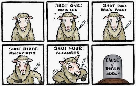 quintuple vaxxed01