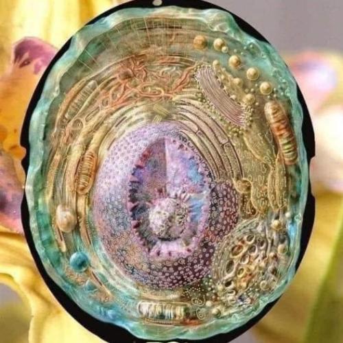 ,                                                                                                                                                                                                                          0 c