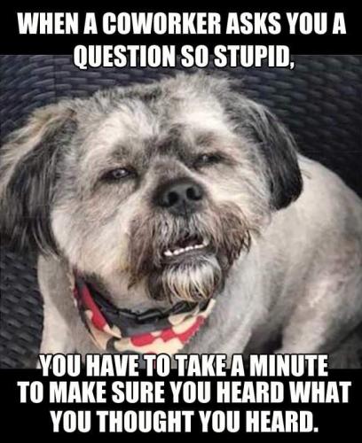 FB_IMG_1659128394654