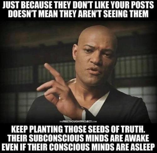 42382627_10155874834266818_4932639514184122368_n