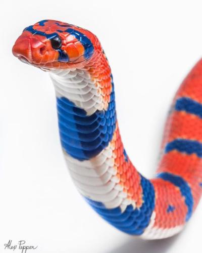 290829547_5031414860303683_5603251025302195658_n