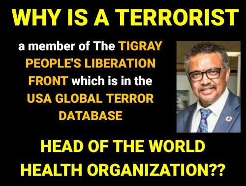 Screenshot_2022-07-01-10-22-45-725_cn.wps.moffice_eng~2