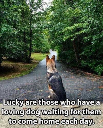 291687815_144460764919244_7498448863205633195_n