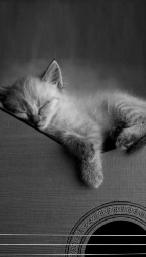 2ef872fa3f3015a38e3bf6713f866b6e