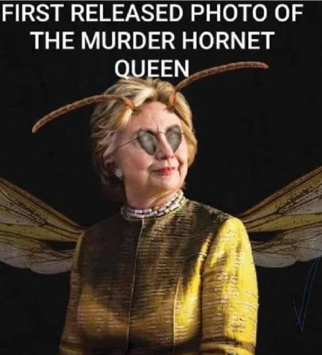 Screenshot_20220711-205622_Instagram