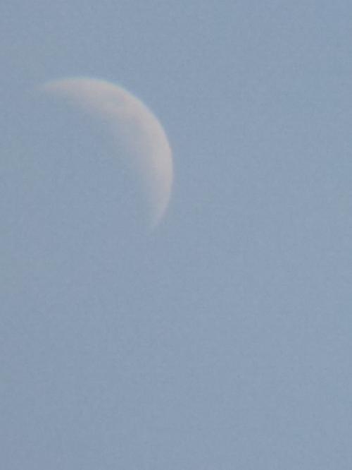 IMG_20220406_131313518