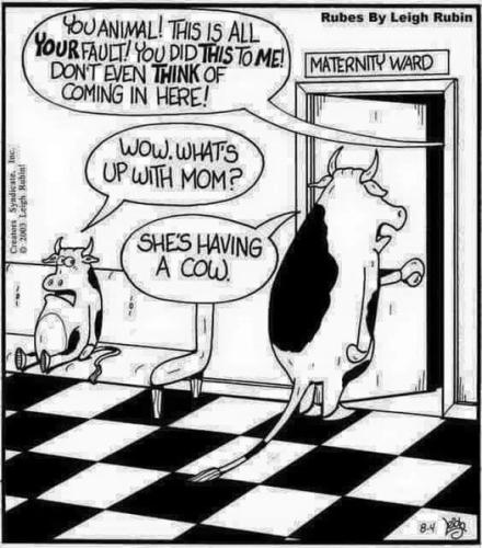 296153783_7715433708527117_4386637192309097221_n