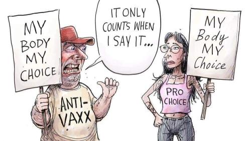 FB_IMG_1651798888767