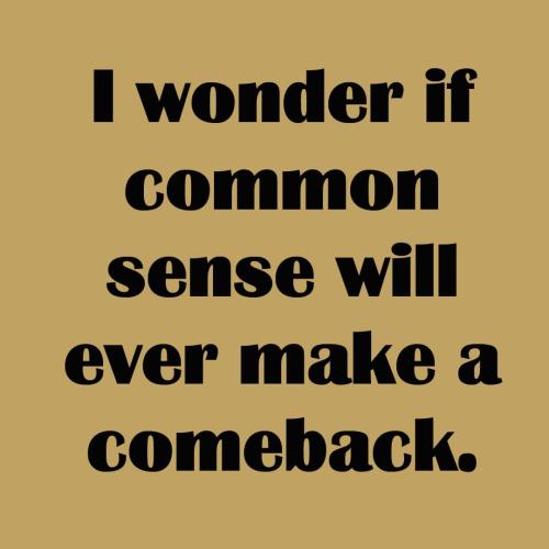 FB_IMG_1658573225977