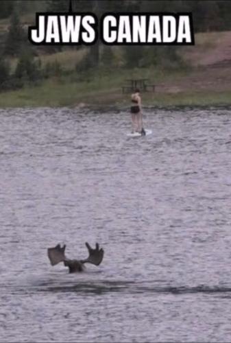 Screenshot_20220713-072728_YouTube