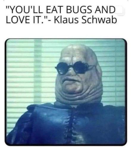 FB_IMG_1658930334315