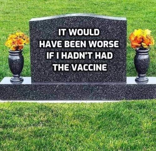 FB_IMG_1659249522582