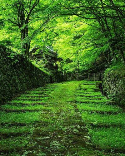 292215386_3262309500706929_1990312752039117609_n