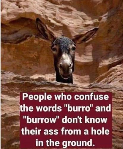 293187550_1104776843751727_4899782287111520405_n