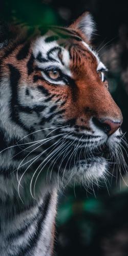 tumblr_205ceaa53d1cf25afb5c5acb74e5fc57_713100bd_1280