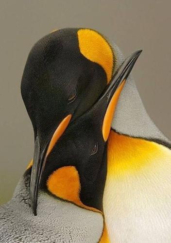 tumblr_d0bb22f6522136083acfa9c147c942f2_3be5b836_540