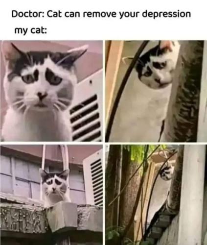 FB_IMG_1658423076623