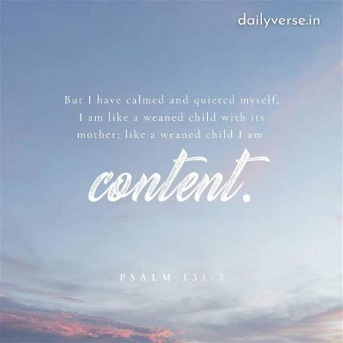 08:15:56 GMT-0400 (EDT)