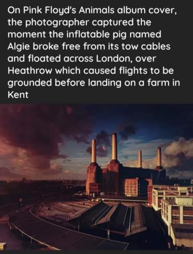 FB_IMG_1658049515361