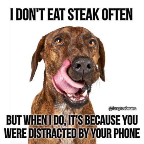 272536307_6278237795295_5316626098143113590_n