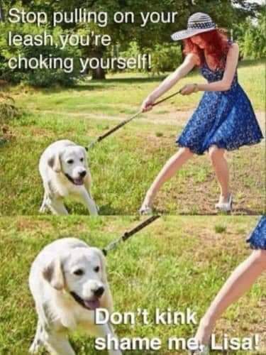 FB_IMG_1658159994999