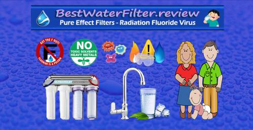 BestWaterFilter.review - Pure Effect Filters
