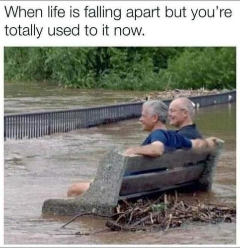 FB_IMG_1657634354069