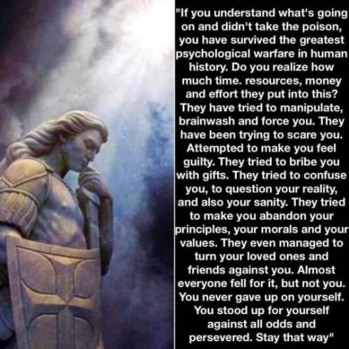 tumblr_6c383299b4c8b24bc0ff3749a53e13ab_c150ef8a_540