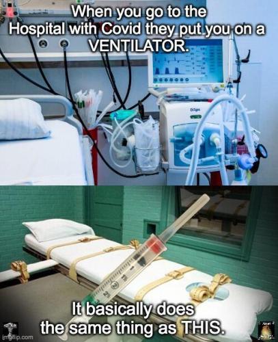 img - 2022-07-28T174703.918