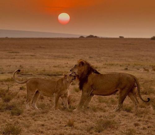 tumblr_a25797b4bad90f76d8ae617b0e5ae097_b84b30ee_640