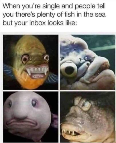 FB_IMG_1657909516456