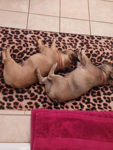 e99e08ed-7c19-41c2-a764-fa5afcee3b50