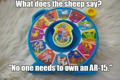 FB_IMG_1657905689755