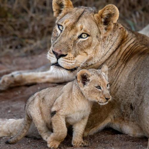 tumblr_5cd22ddfb5c401be7d4aac2dcafc5d5c_1d1c341a_2048