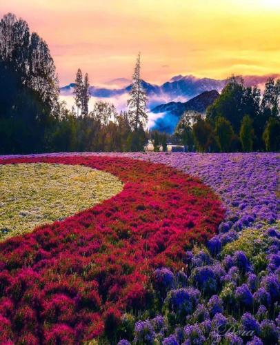 292442802_563958898691919_2695029020578996475_n