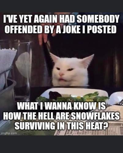 FB_IMG_1659027790099