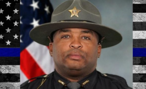 njhffdtjnhtgfrnjhrfg