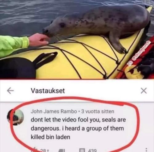 FB_IMG_1657079181641