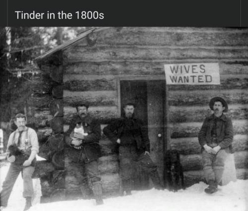 sngine_7d951d4e9500be649ebd18b8b04cd26b