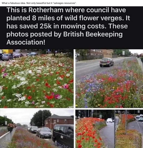 Screenshot_2022-07-11-04-07-27_kindlephoto-150937522