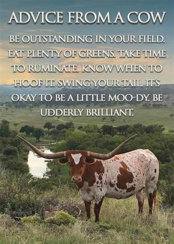 293385344_2158040067702389_6005813031505416646_n