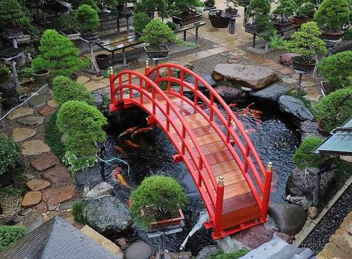 211957472_1853905701453864_1254372065379118887_n