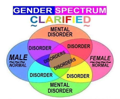 Gender Spectrum 1