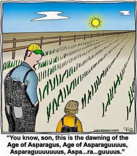 289602921_581199900039461_3762965022170306980_n