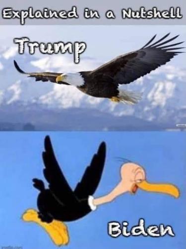 FB_IMG_1657035722441