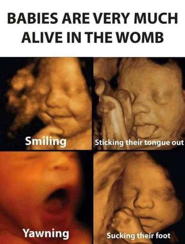 babies are alive wim