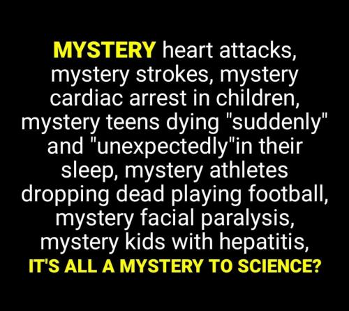 Screenshot_2022-07-27-11-21-09-304_com.google.android.apps.photos~2