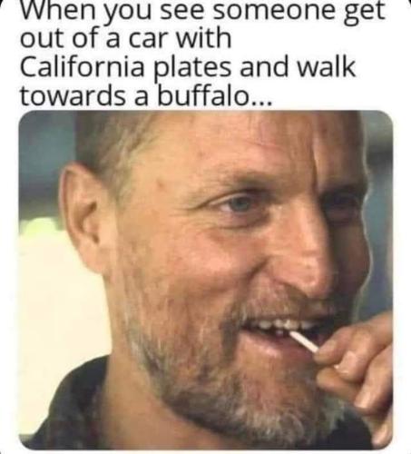 FB_IMG_1656912138743